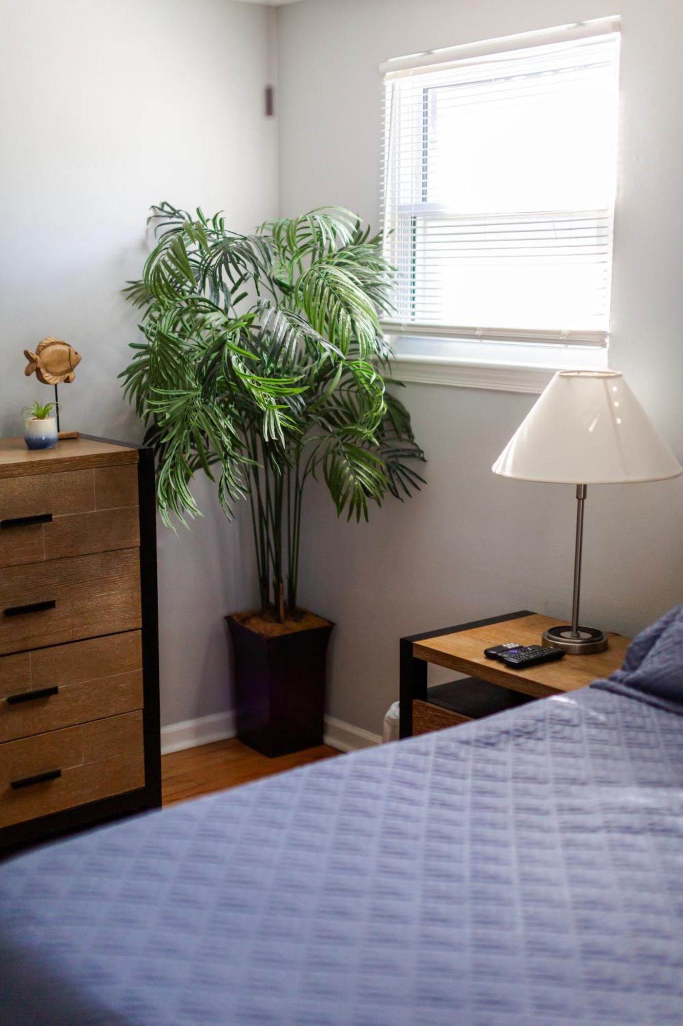 Fantastic 3Br Close To Botanical Gardens And Airport นอร์ฟอล์ก ภายนอก รูปภาพ