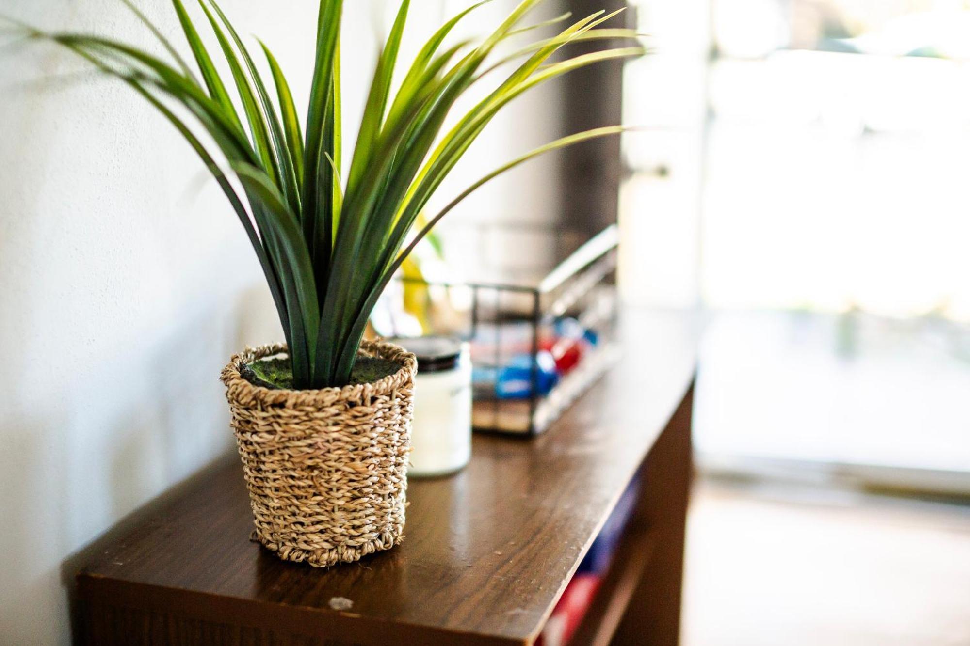 Fantastic 3Br Close To Botanical Gardens And Airport นอร์ฟอล์ก ภายนอก รูปภาพ